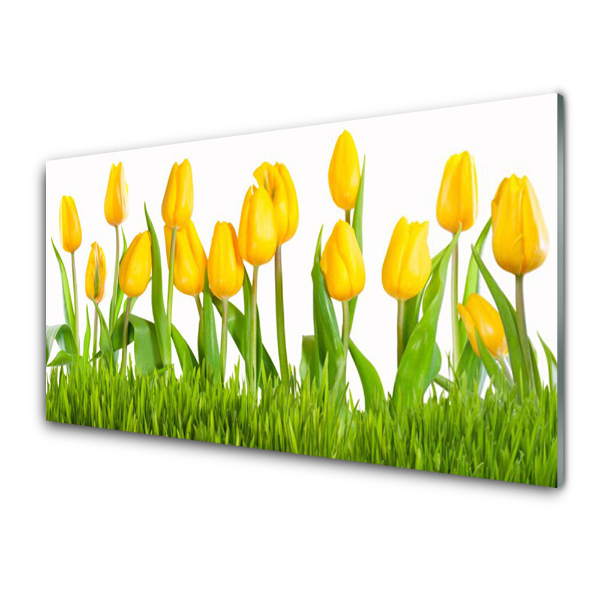 Tableau sur verre Tulipes Jaunes Herbe