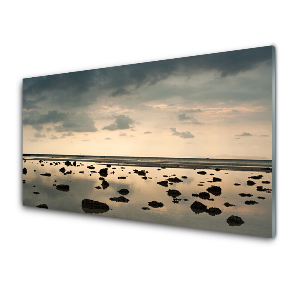 Tableau imprimé sur verre Océan Eau Pierres