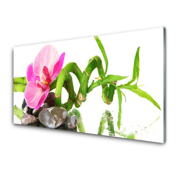 Tableau verre imprimé Fleur Nature Plante