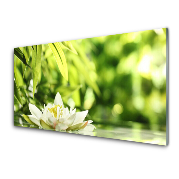 Tableau photo sur verre Lys Plantes