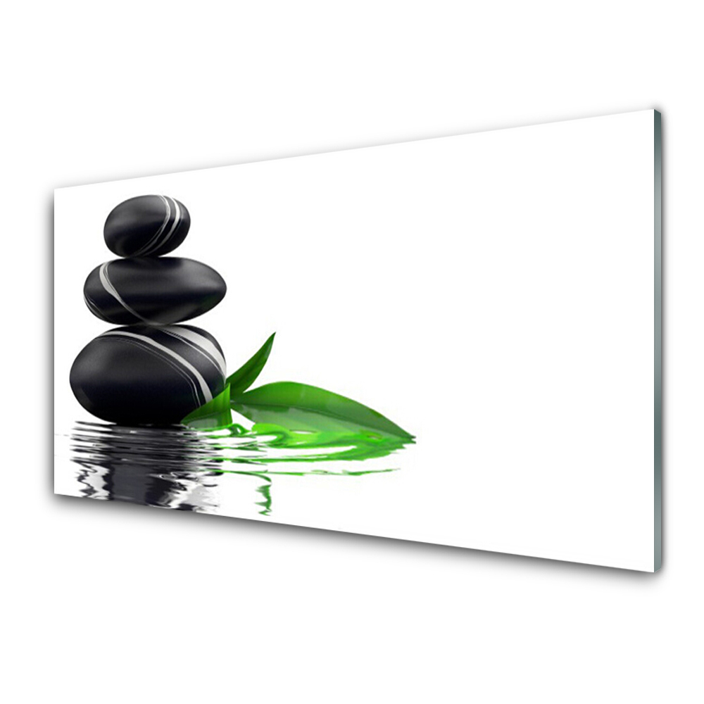 Tableau en verre Pierres Feuilles Eau