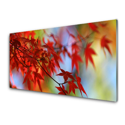 Tableau en verre Feuilles Nature Automne