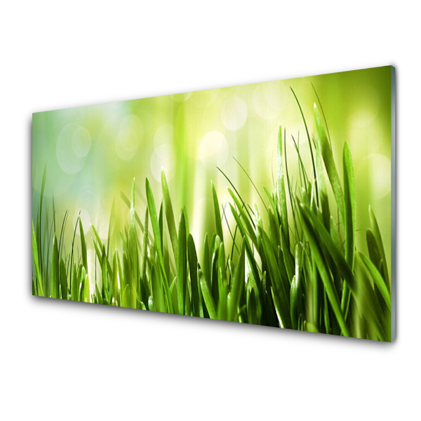 Tableau sur verre Nature d'herbe