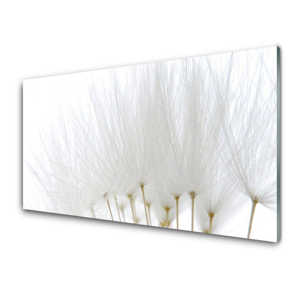 Tableau photo sur verre Fleurs blanches Nature