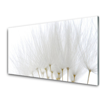 Tableau photo sur verre Fleurs blanches Nature