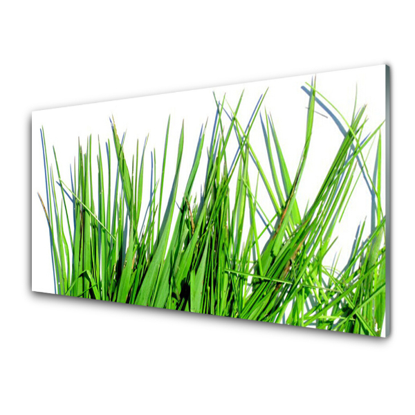 Tableau sur verre Herbe