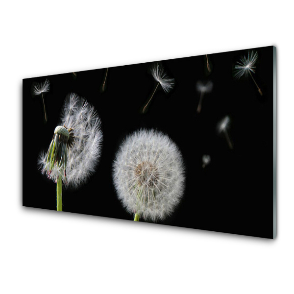 Tableau photo sur verre Gonflables