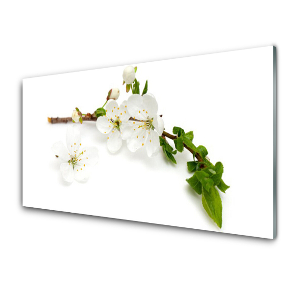 Tableau sur verre Fleur Branche Plante