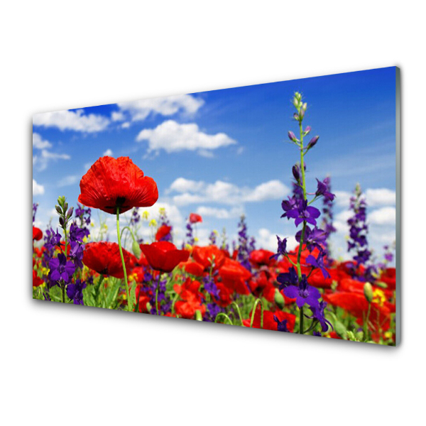 Tableau imprimé sur verre Fleurs de prairie Ciel