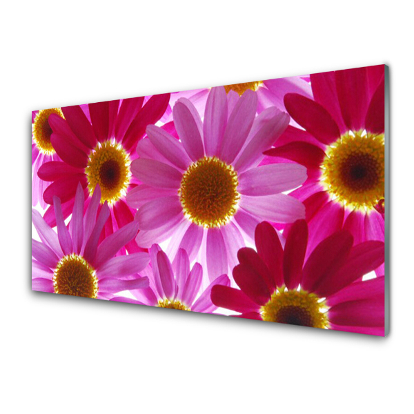 Tableau photo sur verre Fleurs roses