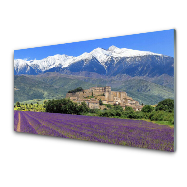 Tableau en verre Pré Fleurs Montagnes Paysage