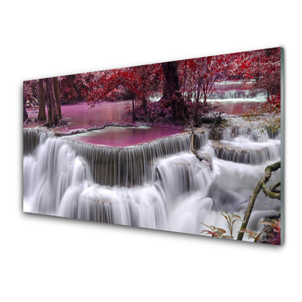 Tableau imprimé sur verre Cascade Arbres Nature