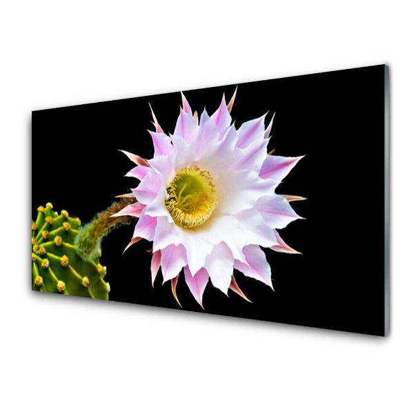 Tableau verre imprimé Fleur de cactus