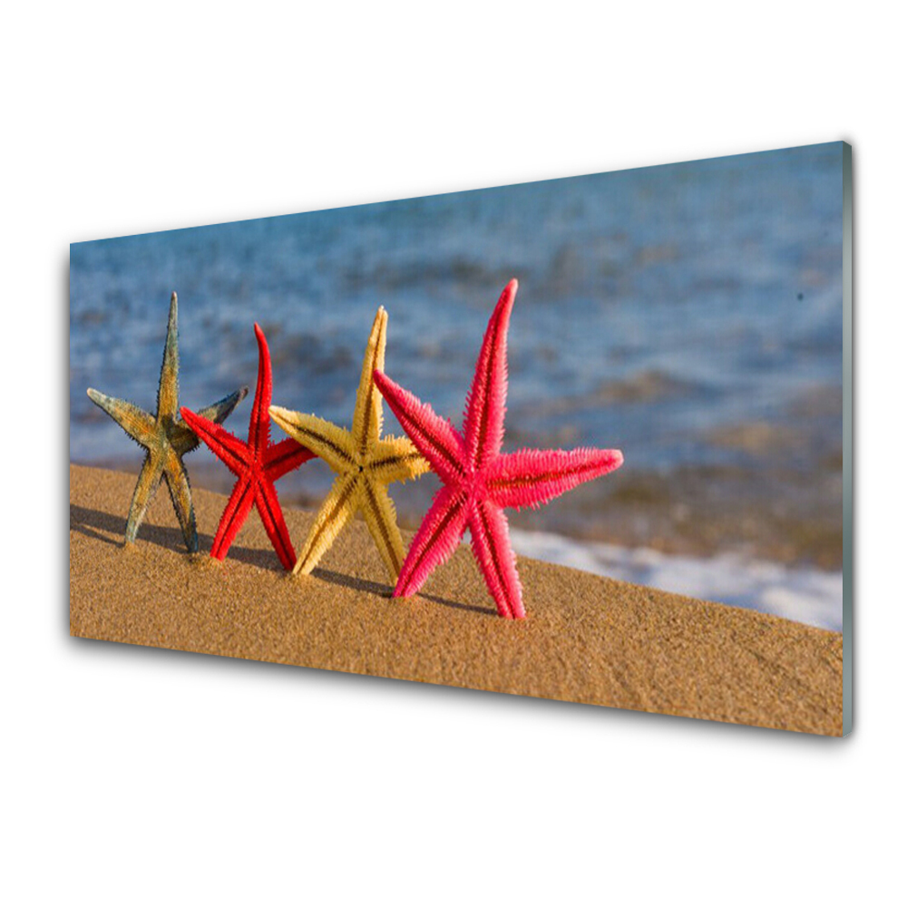 Tableau imprimé sur verre Plage Etoile de mer Eau