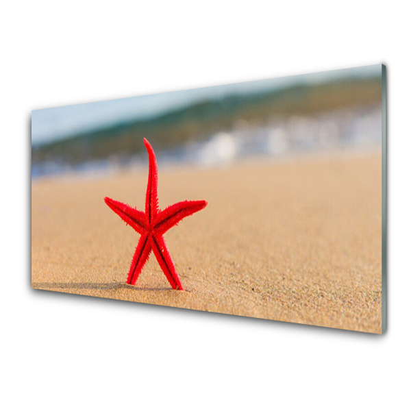 Tableau verre imprimé Eau de la plage de l'étoile de mer