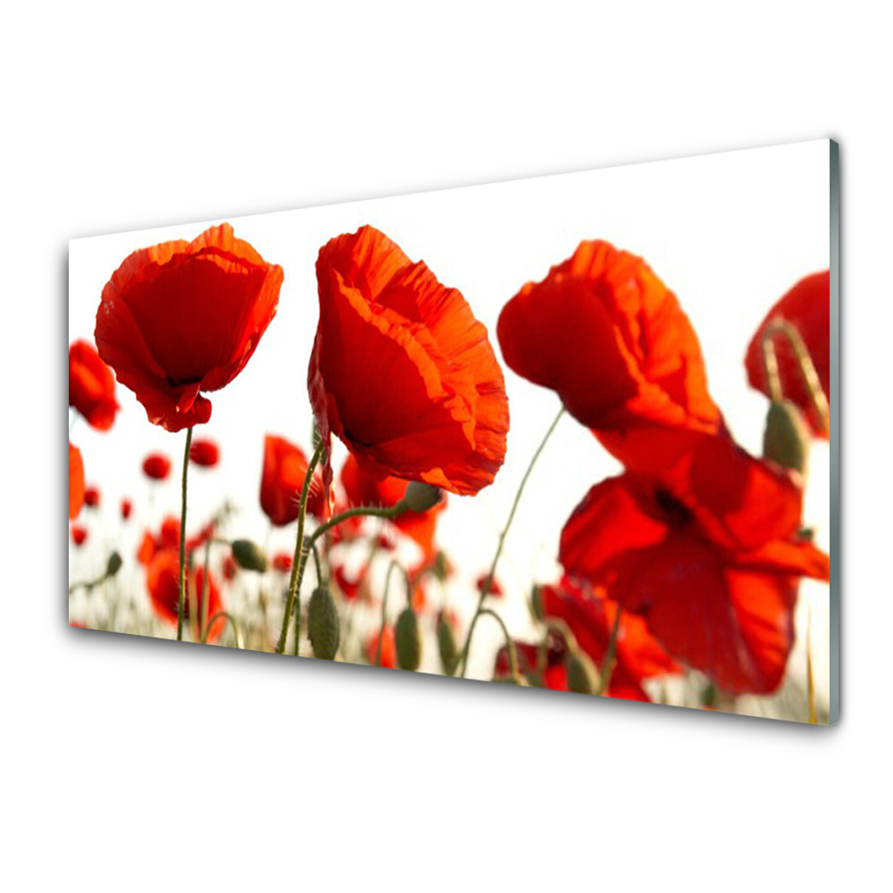 Tableau sur verre Fleurs tulipes