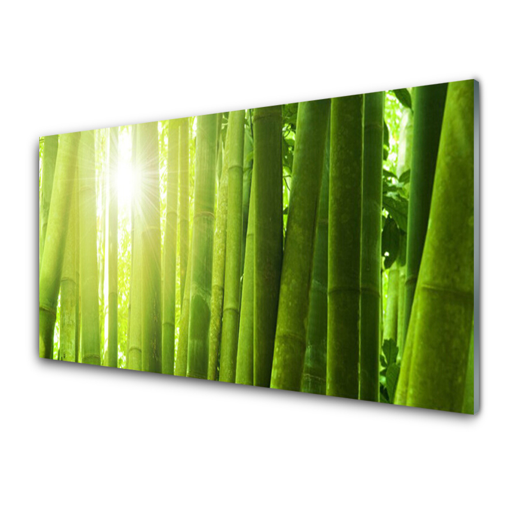 Tableau imprimé sur verre Plante de bambou