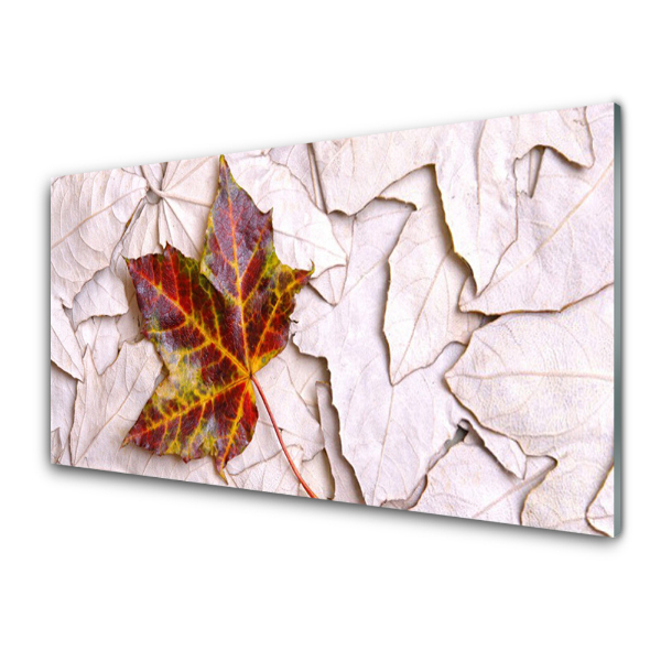 Tableau verre imprimé Plante Feuilles