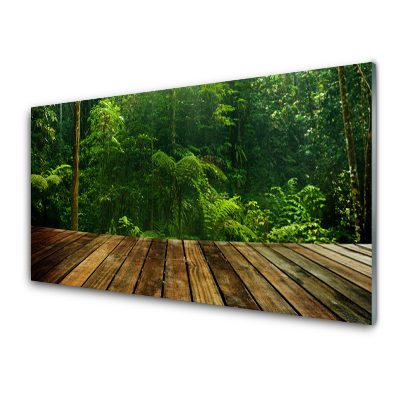 Tableau photo sur verre Plante Forêt Nature