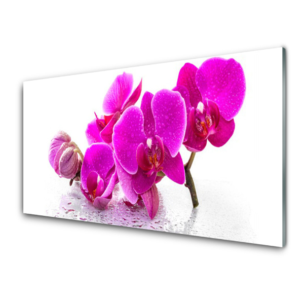 Tableau photo sur verre Fleurs roses