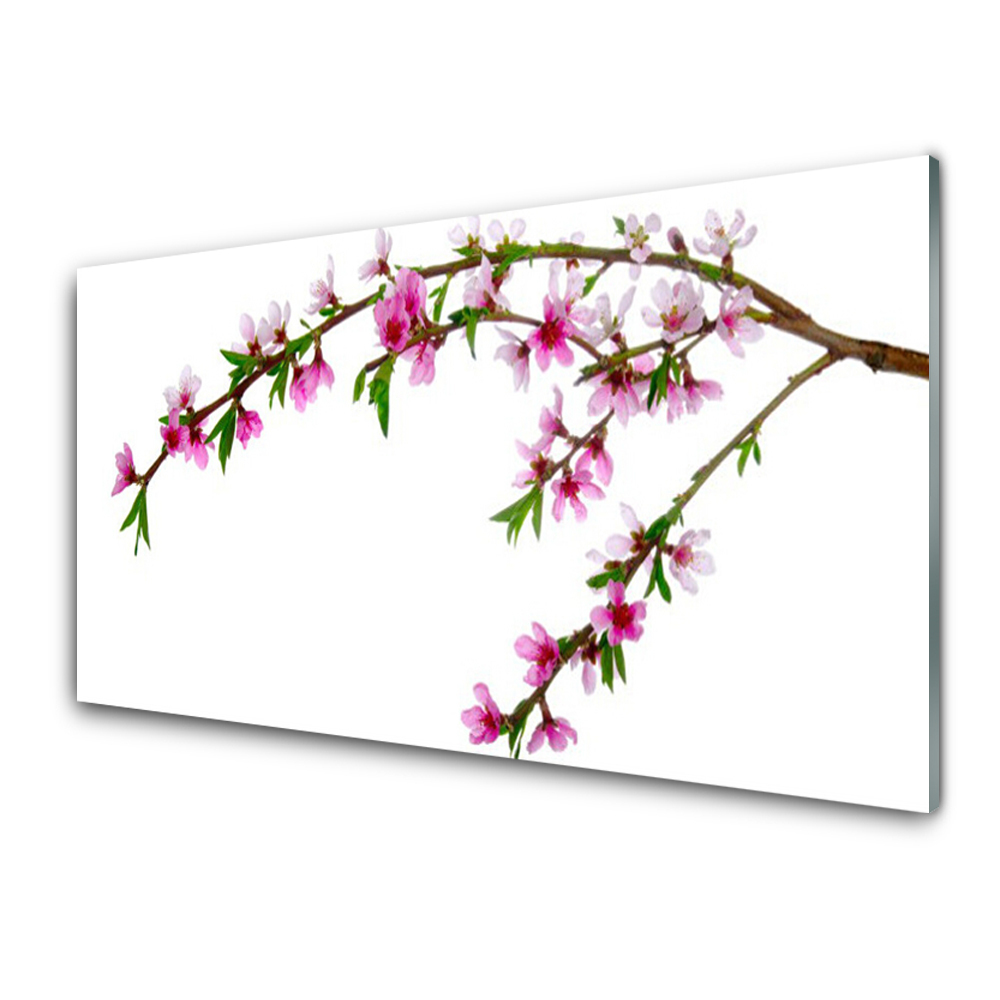 Tableau sur verre Brindille Fleur Plante