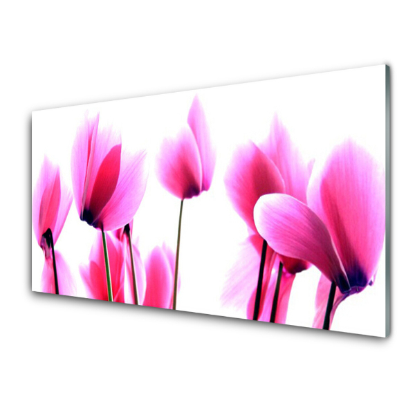 Tableau photo sur verre Plante de fleurs