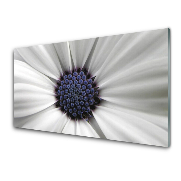 Tableau photo sur verre Fleur Plante