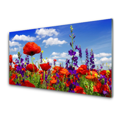 Tableau sur verre Plante Tulipes