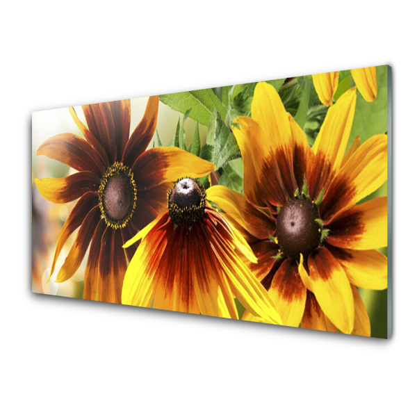 Tableau photo sur verre Fleur Plante