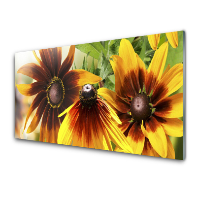 Tableau photo sur verre Fleur Plante