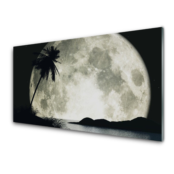 Tableau photo sur verre Lune de nuit Palmier