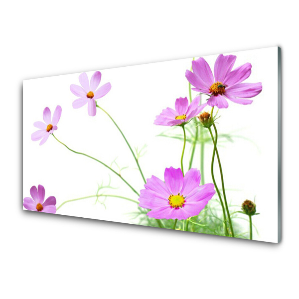 Tableau en verre Fleurs Plante