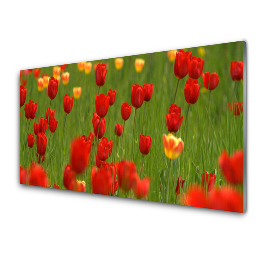 Tableau sur verre Tulipes Plantes de prairie