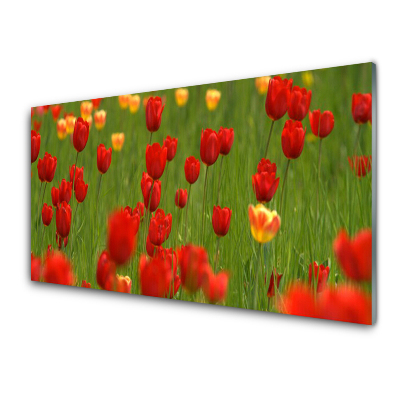Tableau sur verre Tulipes Plantes de prairie