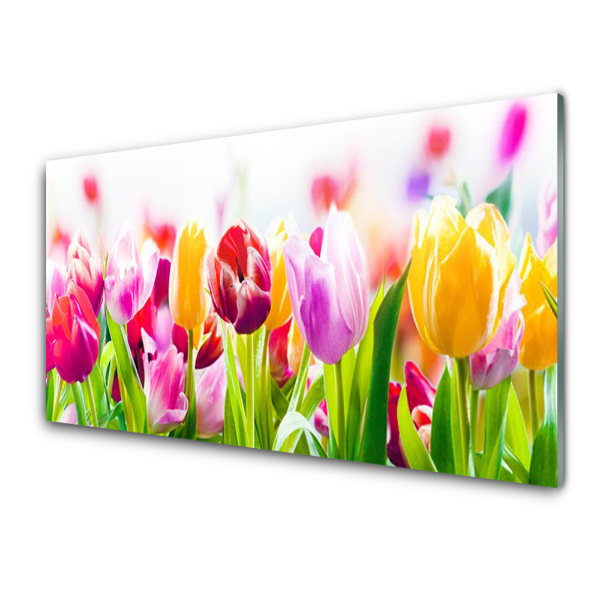 Tableau en verre Tulipes colorées