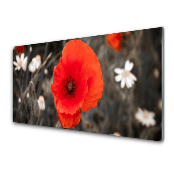 Tableau imprimé sur verre Fleurs Plante Pré