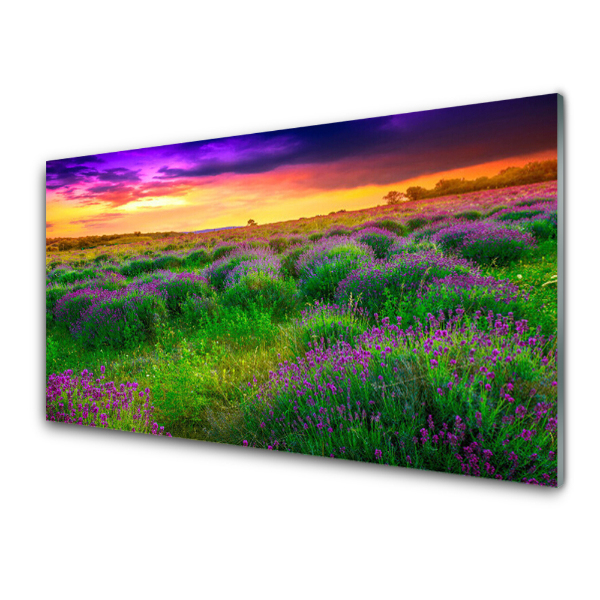 Tableau photo sur verre Prairie Nature