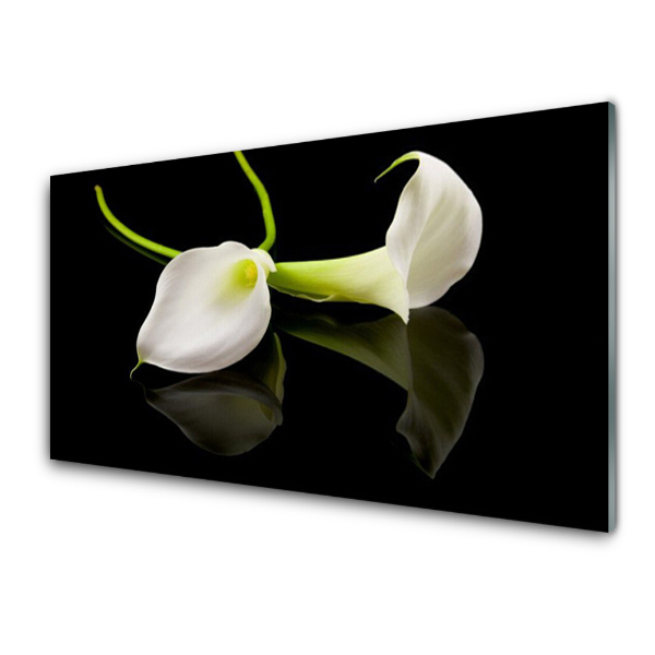 Tableau sur verre Plante de fleurs