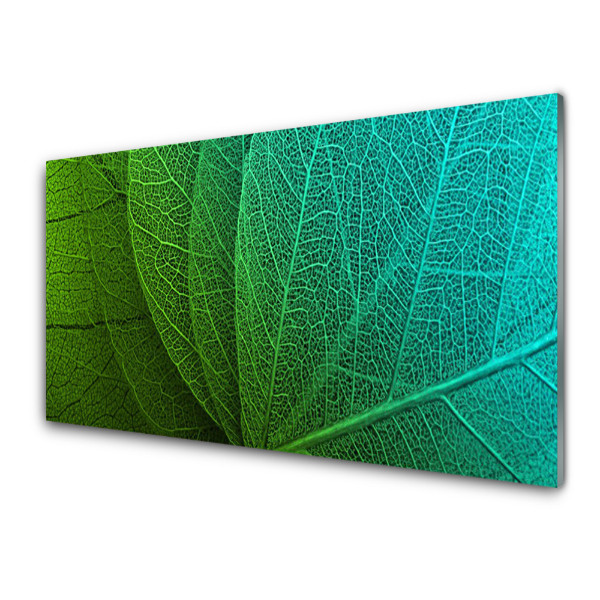 Tableau imprimé sur verre Feuilles abstraites Plante