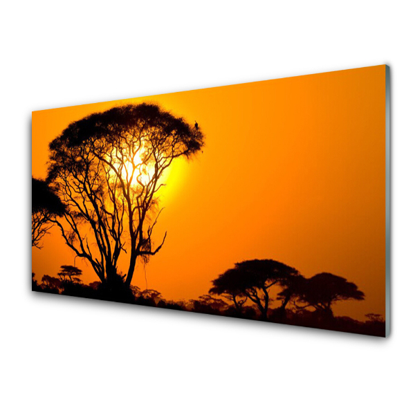 Tableau sur verre Arbres Soleil Paysage