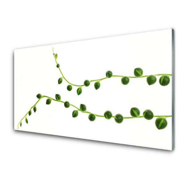 Tableau imprimé sur verre Feuilles Plante Nature