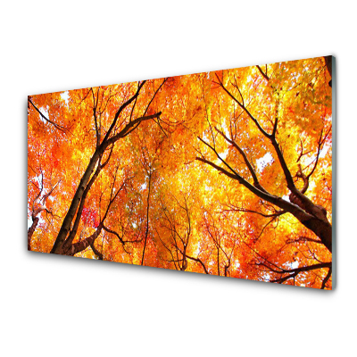 Tableau imprimé sur verre Arbres Nature d'automne