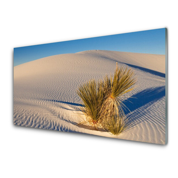 Tableau photo sur verre Sable du désert