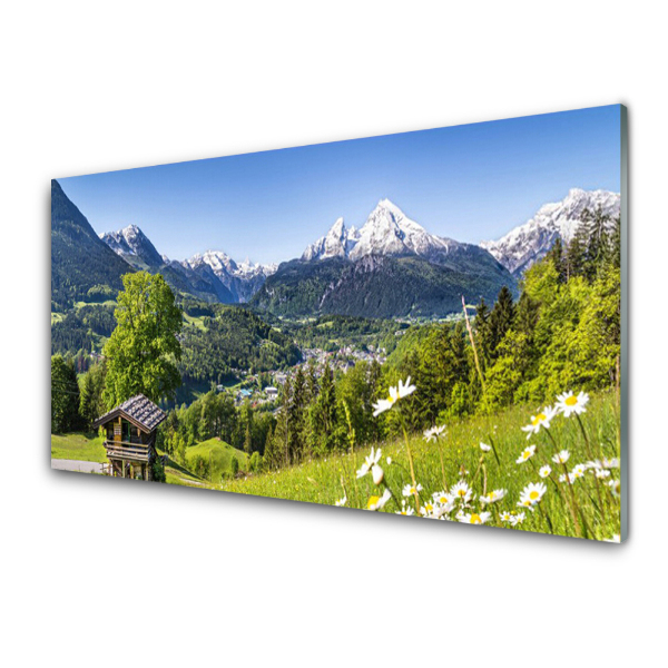 Tableau sur verre Champs de montagne Nature