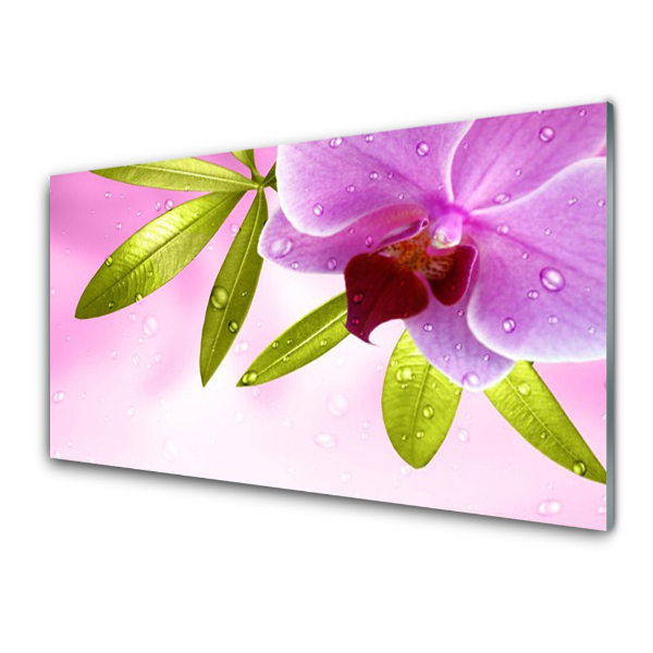 Tableau sur verre Feuilles de fleurs Plante