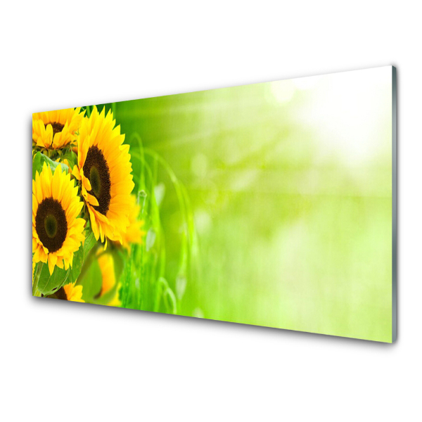 Tableau imprimé sur verre Tournesol Plante