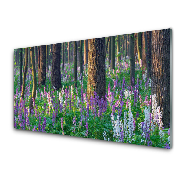 Tableau photo sur verre Forêt Fleurs Plantes Environnement