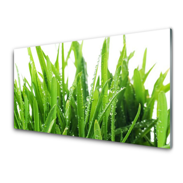 Tableau imprimé sur verre Herbe Plante Flore