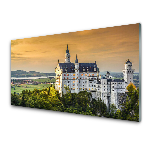 Tableau verre imprimé Château de Neuschwanstein