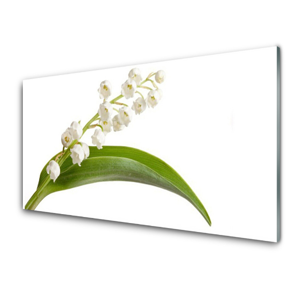 Tableau sur verre Fleur blanche Plante